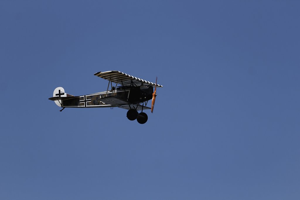 Fokker-DVII.jpg